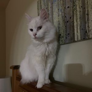 Meet your Posher, Kathleen